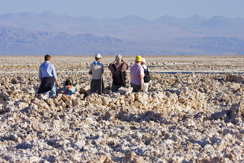 Tourists observing flamingos at Reserva Nacional los Flamencos at the Salar de Atacama salt flats, Region de Antofagasta, Chile, South America