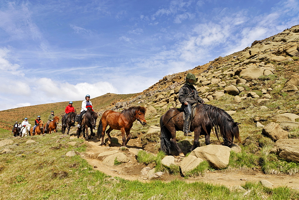 Icelandic horses and riders, Hveragerï£¿i, Iceland, Atlantic Ocean