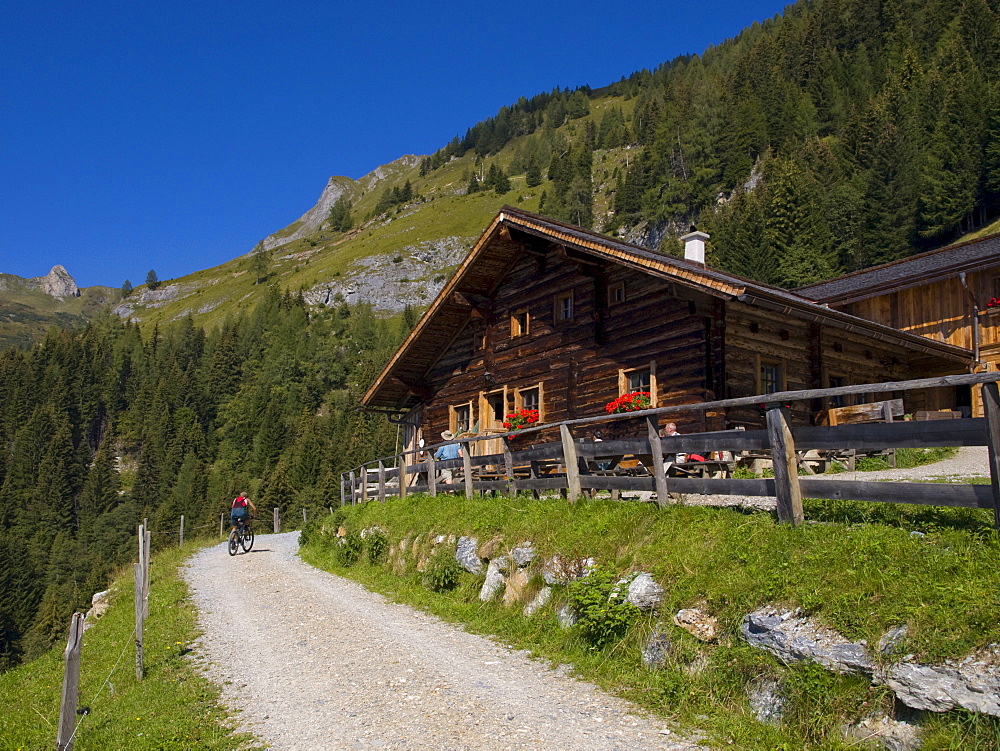 Mooslehenalm (1449m) alpine pasture, Grossarltal, Salzburg, Austria, Europe