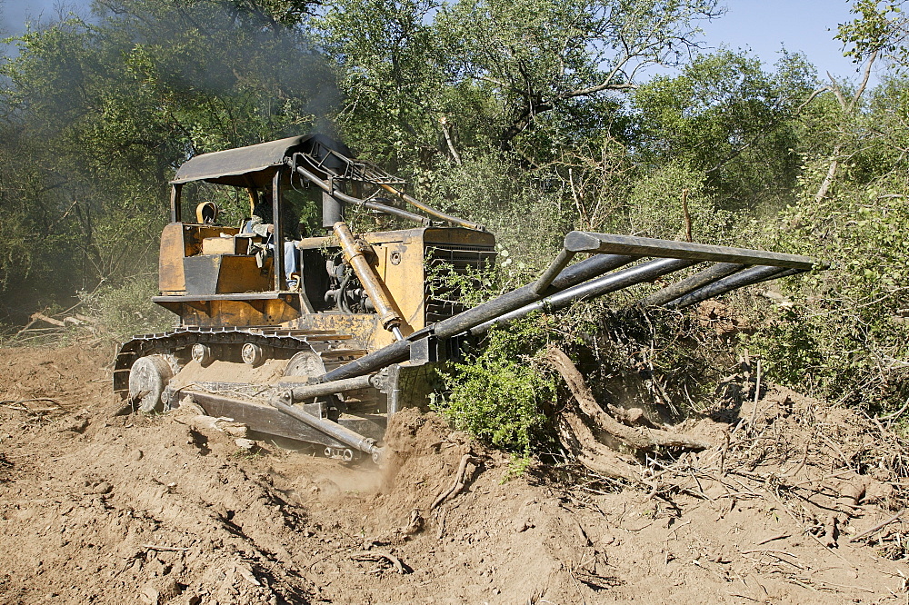 Dredger is clearing a forest to expand a road, Paraguay, South America