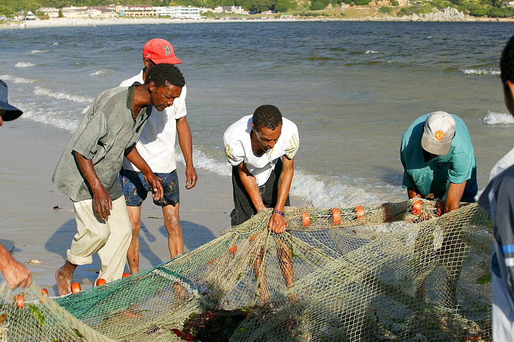 Fishermen on the beach with flues, Hout Bay, Cape Town, South Africa