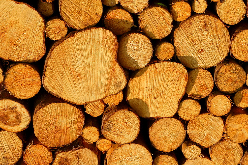 Stacked logs