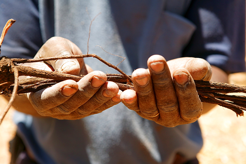 Traditional healer displaying various medicinal plants, Sehitwa, Botswana, Africa