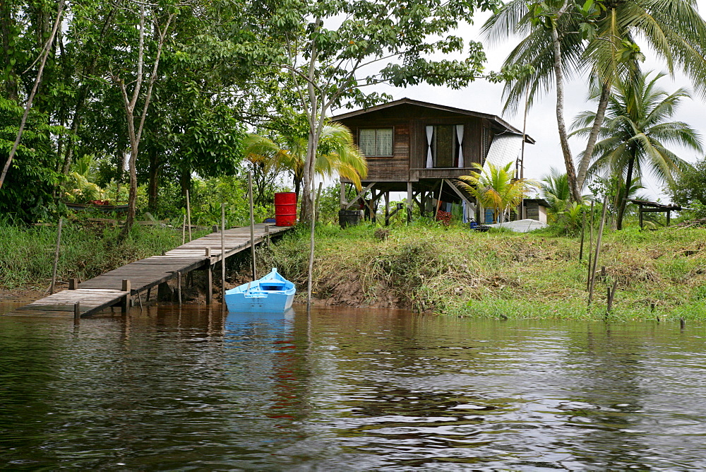 Dock on the Kamuni River, Guyana, South America