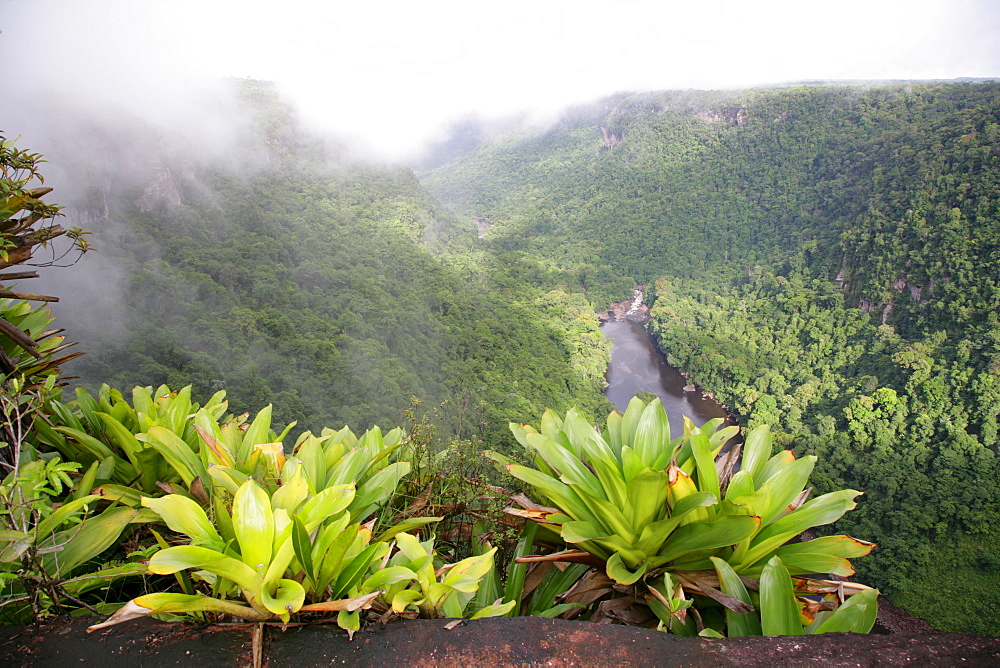 After tropical rains, Kaieteur Waterfalls, Potaro National Park, Guyana, South America