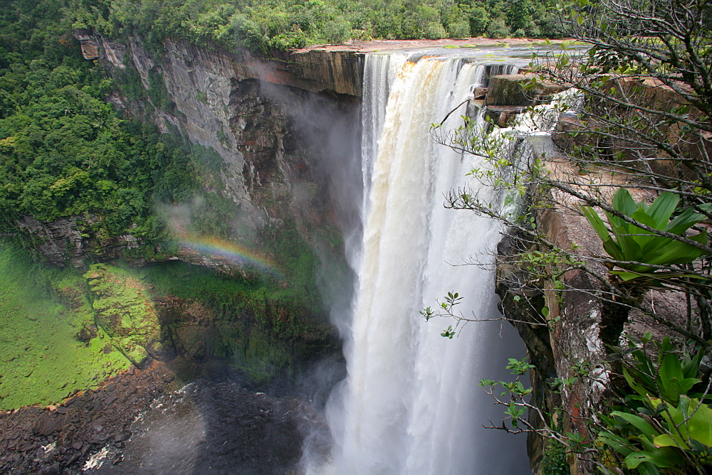 Kaieteur Waterfalls, Potaro National Park, Guyana, South America