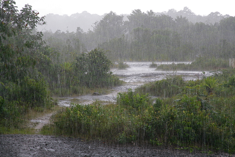 Tropical rains, Kaieteur Waterfalls, Potaro National Park, Guyana, South America