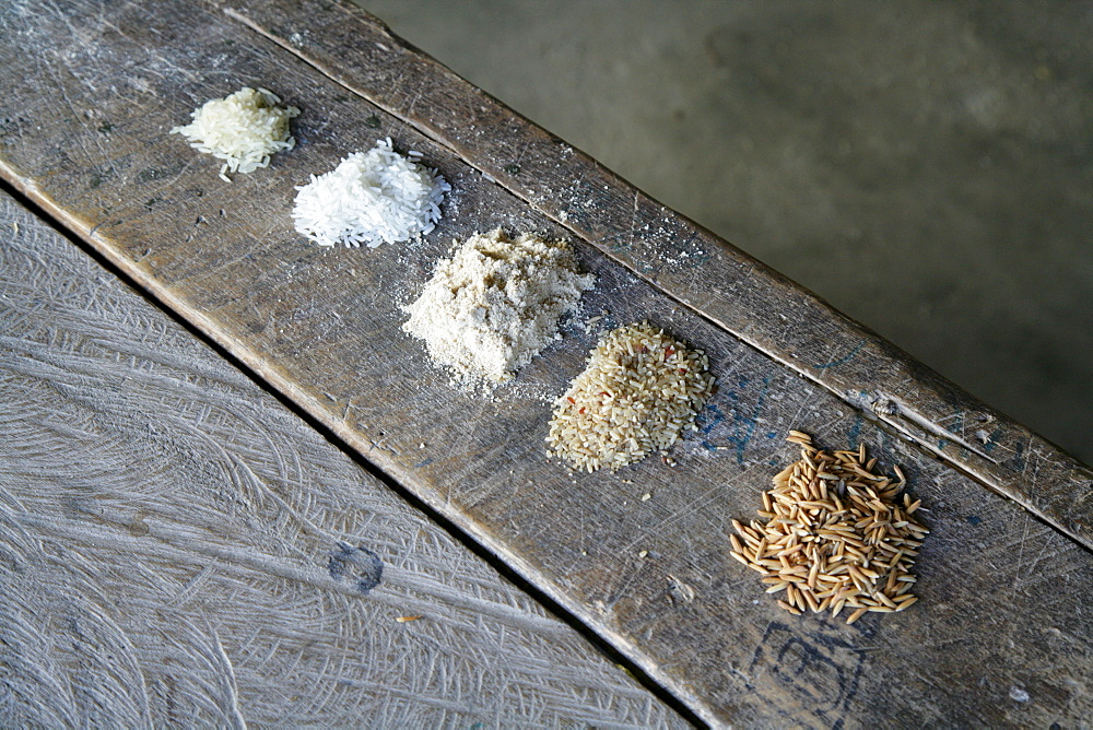 Grain varieties used in the production of pasta at a pasta factory in Demerara Province, Guyana, South America