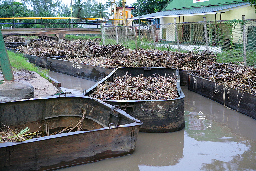 Barges used for the transportation of sugar cane, Demerara Province, Guyana, South America