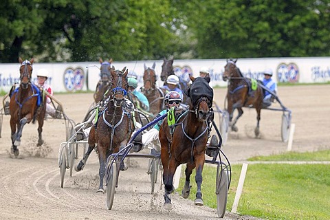 Trotting race, trotters, Daglfing, Munich, Upper Bavaria, Bavaria, Germany, Europe