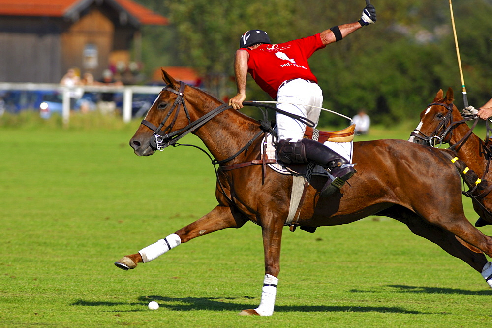 Polo player, Polo tournament, Berenberg High Goal Trophy 2007, Thann, Holzkirchen, Upper Bavaria, Bavaria, Germany