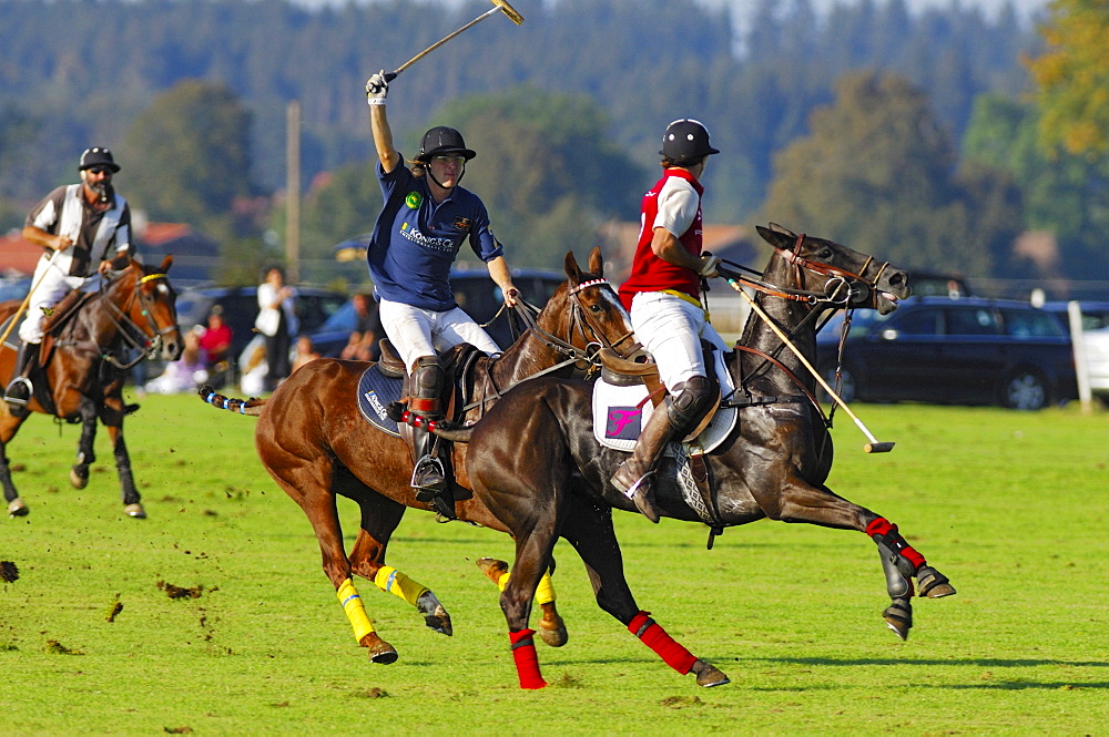 Polo player, Polo tournament, Berenberg High Goal Trophy 2007, Thann, Holzkirchen, Upper Bavaria, Bavaria, Germany