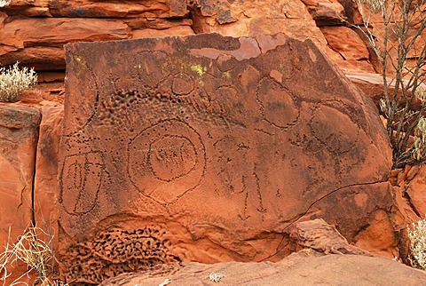 Historic Aboriginal scratch drawings, Ewaning Reserve near Alice Springs, Northern Territory, Australia