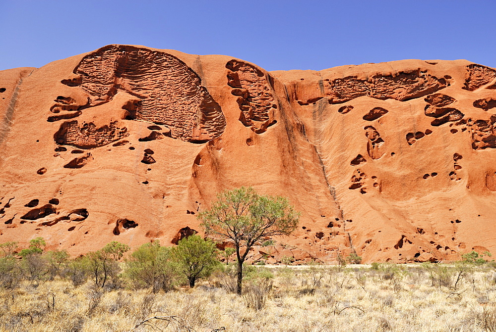 Detail of the holey texture of the Uluru or Ayers rock, Kata Tjuta National Park, Northern Territory, Australia