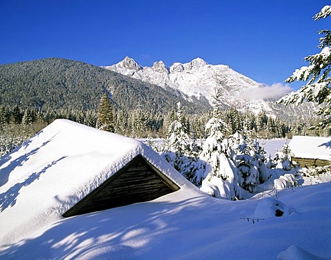 Ahrnspitzen near Seefeld, winter, Wettersteingebirge, Tyrol, Austria