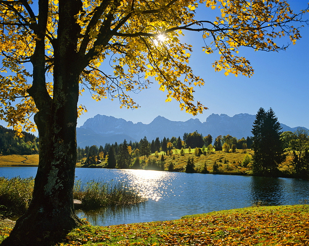 Autumn scenery, Lake Gerold, Gerold, Karwendel Range, Upper Bavaria, Bavaria, Germany