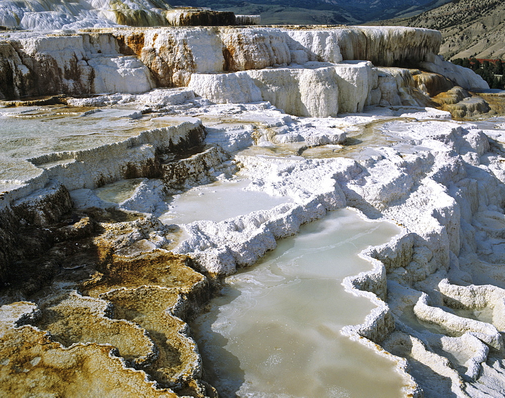 Sinter terraces near Mammoth, Yellowstone National Park, Rocky Mountains, Wyoming, USA
