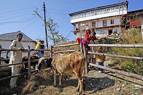 Family with cow, Matiyama, Himachal Pradesh, India