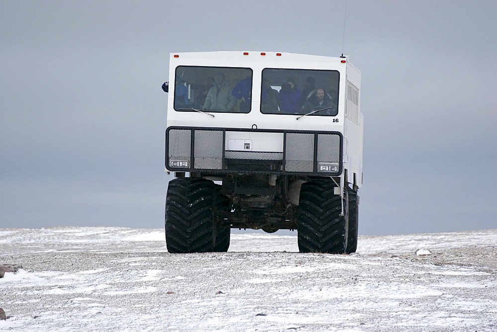 Tundra Buggy driving through the tundra in search of Polar Bears, Churchill, Manitoba, Canada