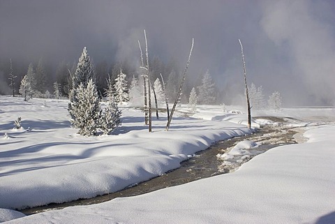 Winter landscape in Yellostone national park USA