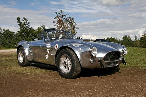 AC Cobra 289