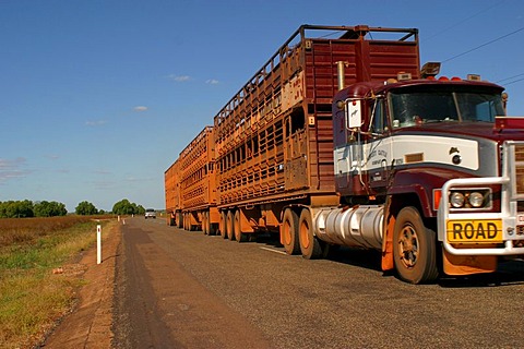 Road train on the way in the Outback darwin northern territory australia