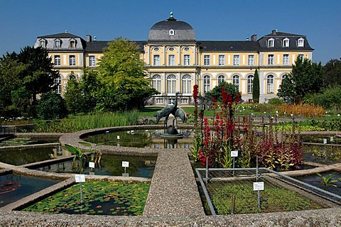 Castle Clemensruh (Poppelsdorf Castle) and crane fountain in the Botanical Garden Bonn