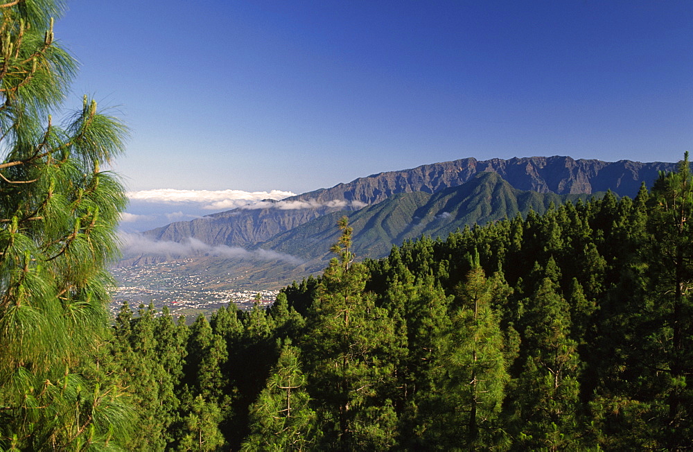 View from the ruta de los volcanes on Los Llanos and the edge of the Caldera (crater) de Taburiente, La Palma, Canary Islands, Spain