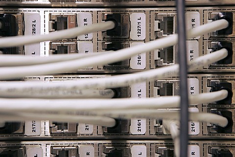 DEU Germany : Cable of a computer server center of a company. |