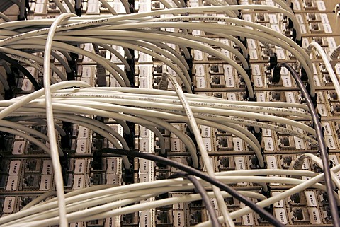 DEU Germany : Cable of a computer server center of a company. |