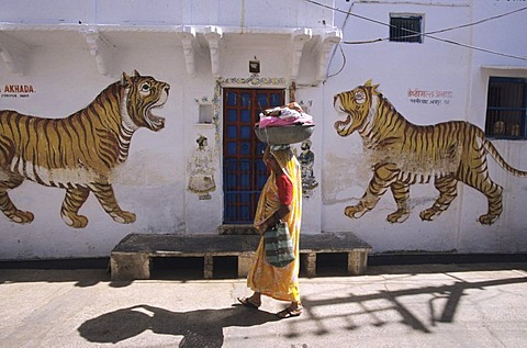 Woman with laundry, Udaipur, India