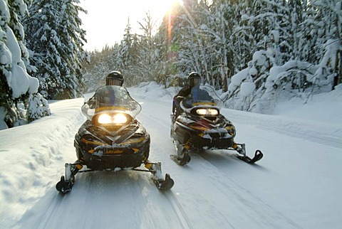 CAN Canada Quebec : Snowmobile driving during winter region Saguenay - Lac Saint Jean Monts Valin.