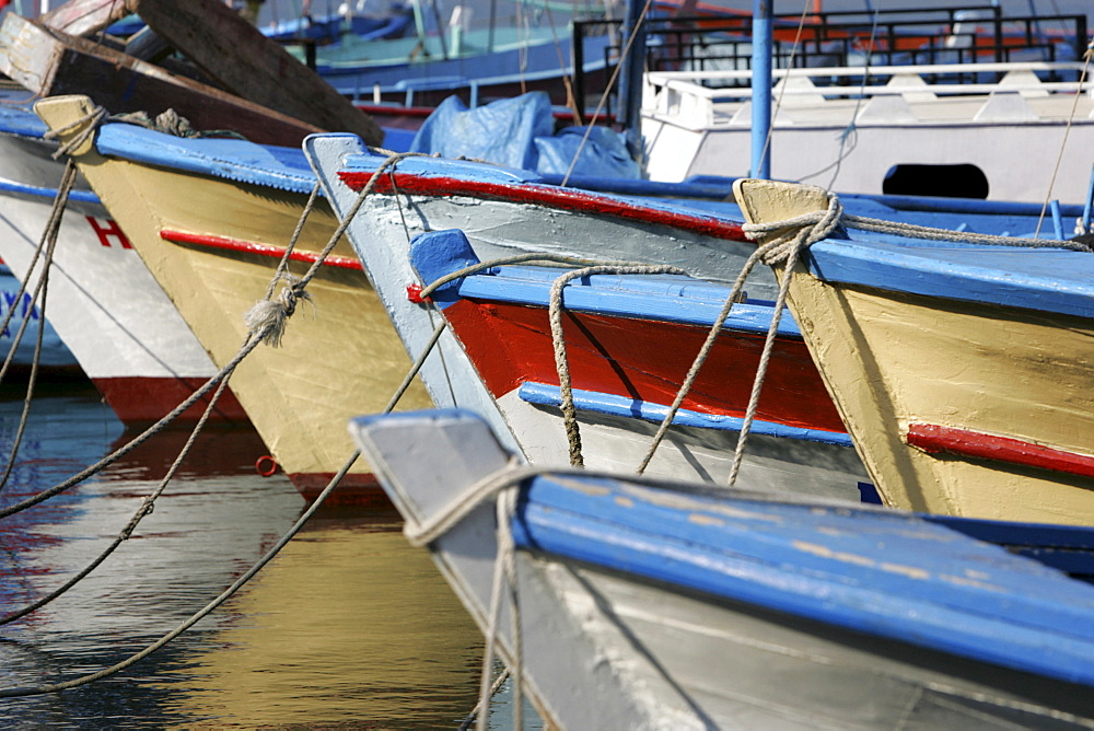 TUR, Turkey, Alanya : Turkish Riviera. Harbour fishing boats. |