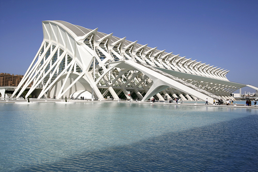 ESP, Spain, Valencia : Ciudad de las Artes Y de las Ciencias, City of arts and sciences. Museo de las Ciencias Principe Filipe