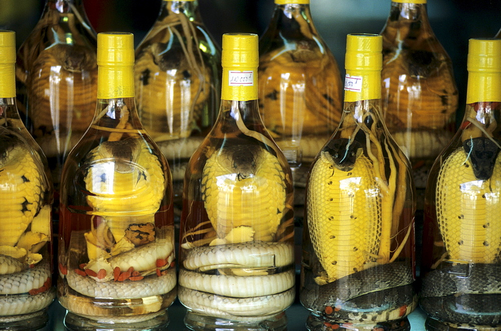 Snake schnapps used as an aphrodisiac, Ho Chi Minh City (Saigon), Vietnam, Asia