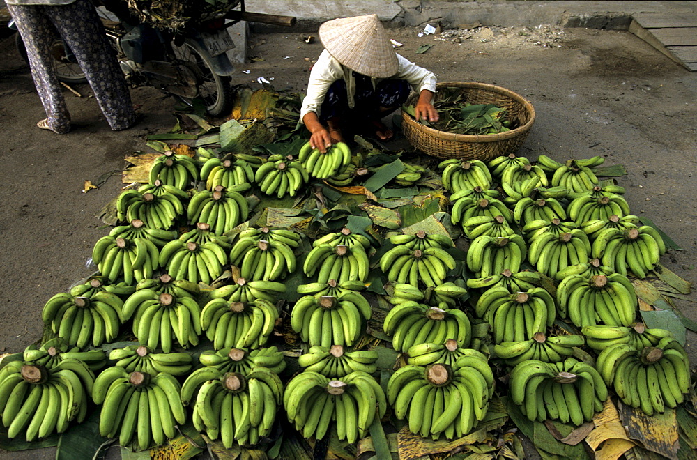 Bananas for sale at Cho Dam central marketplace, Nha Trang, Khanh Hoa Province, South Central Coast, Vietnam, Asia