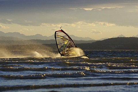 Windsurfer on the Ammersee in evening light, Bavaria, Germany