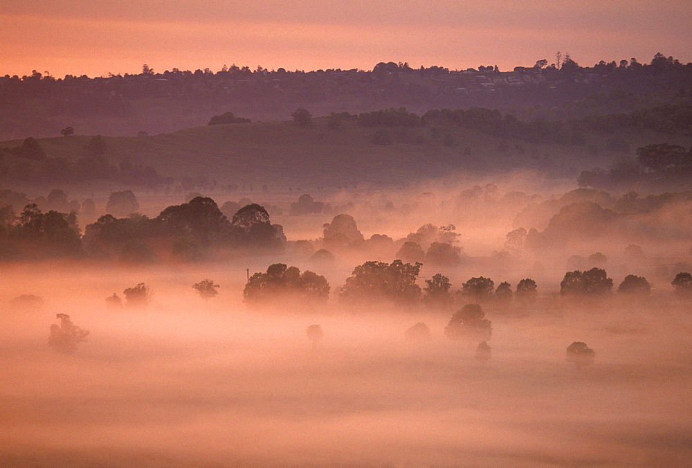 Morning fog covering the backcountry, outback of Byron Bay, New South Wales, Australia