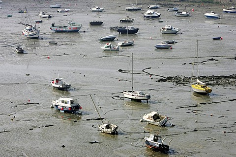 FRA, France, Normandy, Grandville: Habour at low tide.