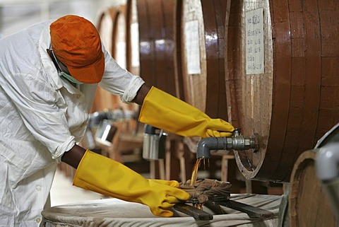 LKA, Sri Lanka : Production of ayurvedic medicine at Hettigoda Industries, the oldes manufacturer of ayurvedic products.