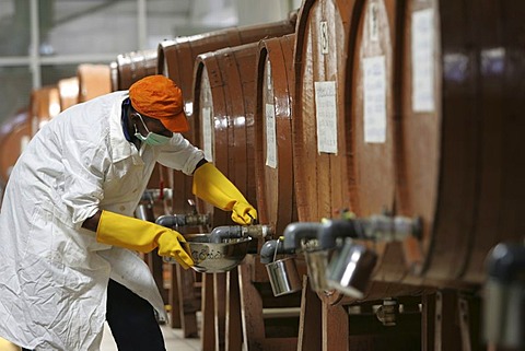 LKA, Sri Lanka : Production of ayurvedic medicine at Hettigoda Industries, the oldes manufacturer of ayurvedic products.