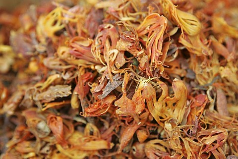 LKA, Sri Lanka : Siddhalepa Ayurveda Resort , herbs, spieces for the ayurvedic cuisine. Nutmeg skins.