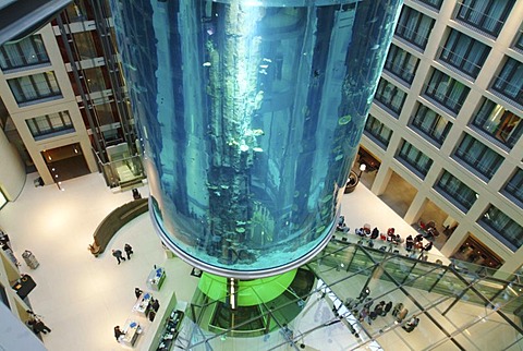 DEU, Germany, Berlin : Aquarium in the lobby of the Radisson SAS Hotel. Visitor can view the sealife from the inside the 14 meter hight basin, by using a lift.