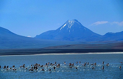 CHL, Chile, Atacama Desert: lake Laguna Verde, 4000 metres high.