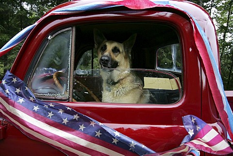 USA, United States of America, Alaska, Gustavus: 4th July, Independence day party in Gustavus, a village with 400 residents. After a short parade, they fly the flag, sing the national anthem. Followed by a BBQ, funny contests like bubble gum blowing, hors