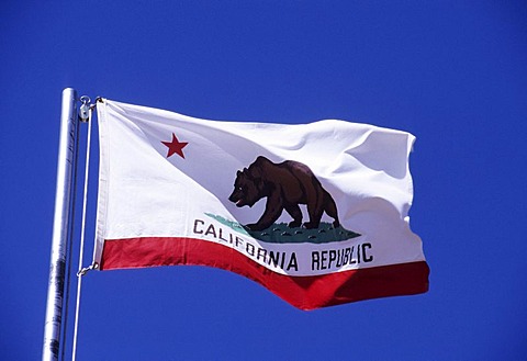 USA, United States of America, California: the flag of California.