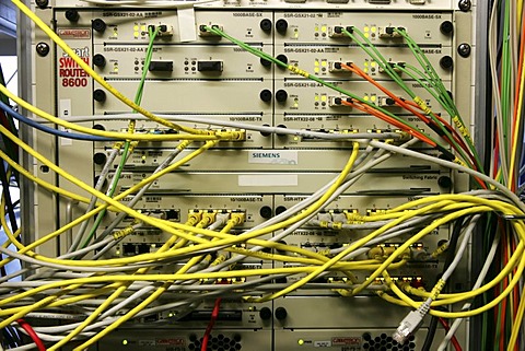 DEU, Germany : Cable of a computer server center of a company.