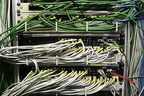 DEU, Germany : Cable of a computer server center of a company.