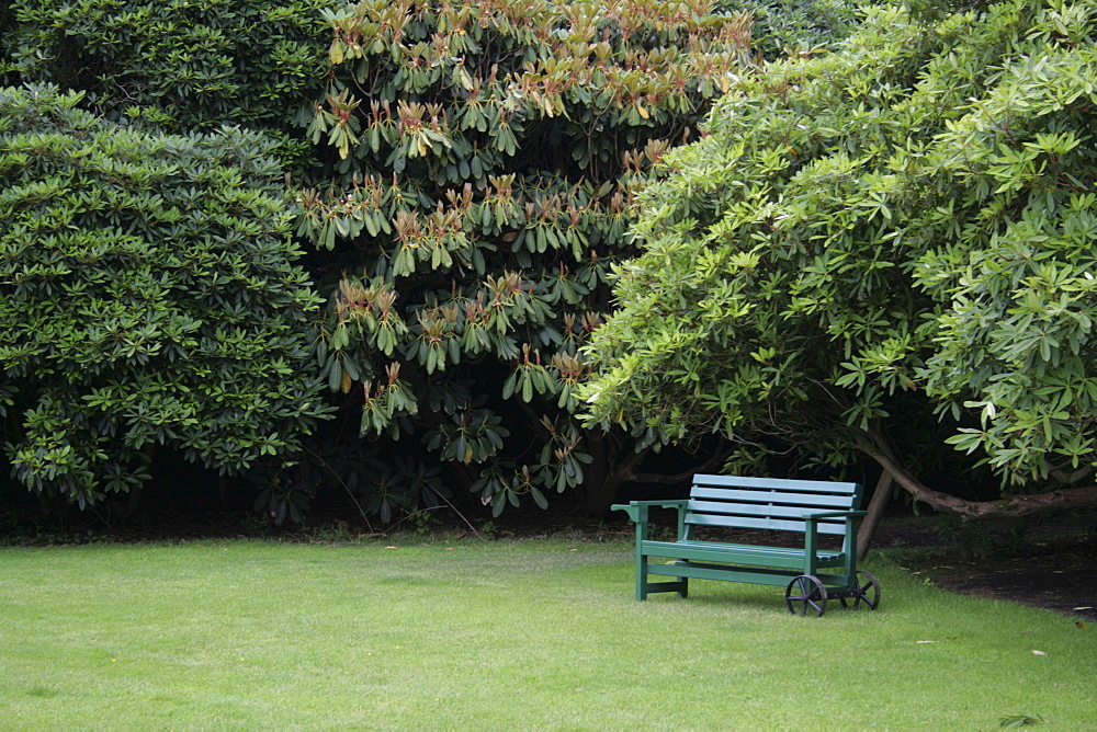 Park bench, Lost Gardens of Heligan, Cornwall, Great Britain