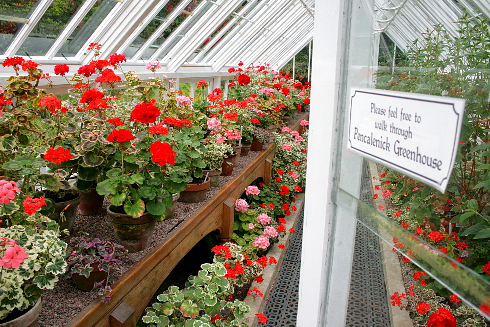 Greenhouse, The Lost Gardens of Heligan, Pentewan, St. Austell, Cornwall, Great Britain